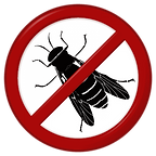 FRELON en Corrèze - Destruction de nids de frelons en Corrèze avec AZ NUISIBLES