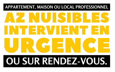 Que ce soit en appartement, maison ou local professionnel, AZ NUISIBLES intervient en urgence ou sur rendez-vous6