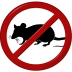 Rats en Corrèze - Destruction de rats en Corrèze avec AZ NUISIBLES